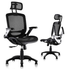 ergonomic office chairs for lower back pain
