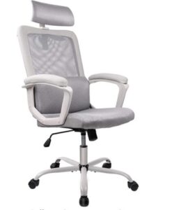 ergonomic mesh chair with lumbar support