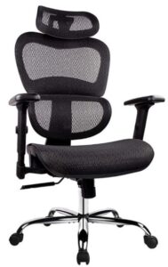 Smugdesk Ergonomically Correct Mesh chair
