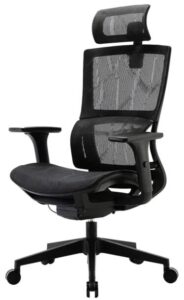 XUER Ergonomic office chair
