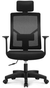 NEO CHAIR High Back Ergonomic office chair