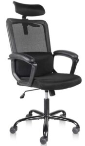 Smugdesk High Back office chair