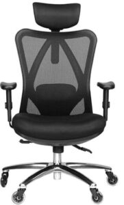 Duramont Comfortable Ergonomic office chair