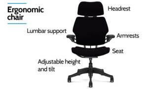 best ergonomic work chair